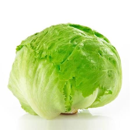 Lechuga